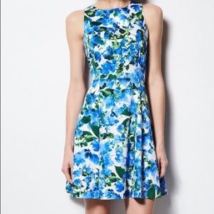 Milly for Design Nation Floral Dress